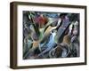 Jammin-Ikahl Beckford-Framed Giclee Print