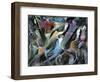 Jammin-Ikahl Beckford-Framed Giclee Print