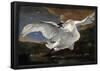 Jan Asselijn (The Threatened Swan) Art Poster Print-null-Framed Poster