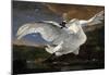 Jan Asselijn (The Threatened Swan) Art Poster Print-null-Mounted Poster