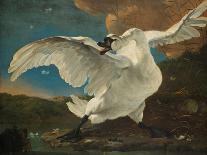 The Threatened Swan, before 1652-Jan Asselijn-Stretched Canvas