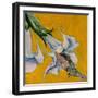 Black Frame