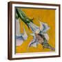 Brown Frame
