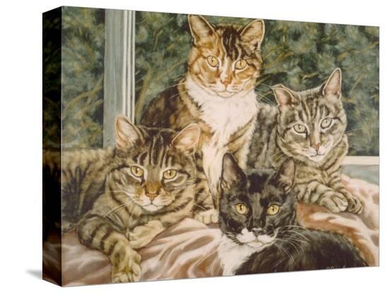 Stretched Canvas Print, , large