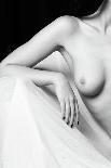 Nude Detail-Jan Blasko-Framed Stretched Canvas