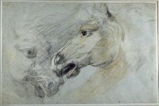 Two Studies of a Horse's Head-Jan Boeckhorst-Laminated Giclee Print