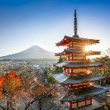 Shinjuku skyline with Mt. Fuji in the background, Tokyo, Japan-Jan Christopher Becke-Photographic Print