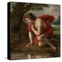 Jan Cossiers / 'Narcissus', Flemish School, Oil on canvas, 97 cm x 93 cm, P01465.-JAN COSSIERS-Stretched Canvas