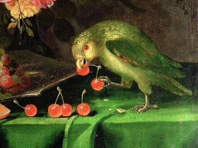 Still Life of Fruit and Flowers, Detail of a Parrot (Detail)