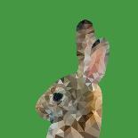 Abstract Polygonal Vector Illustration. Portrait of Duck-Jan Fidler-Art Print