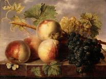 Peaches and Grapes with a Cabbage White on a Marble Ledge-Jan Frans Dael-Stretched Canvas