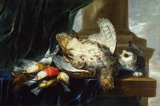 Still Life with Fruit and Parrot, 1645-Jan Fyt-Giclee Print