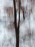 Blurred image of foliage achieved by panning the camera during time exposure-Jan Halaska-Photographic Print