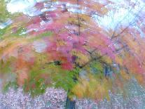 Blurred image of foliage achieved by panning the camera during time exposure-Jan Halaska-Photographic Print