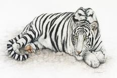 Sleeping Tiger-Jan Henderson-Art Print