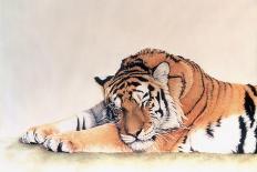 Sleeping Tiger-Jan Henderson-Framed Art Print