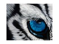 Tiger Eye-Jan Henderson-Stretched Canvas