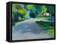 Canvas Black