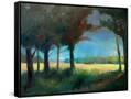 Canvas Black