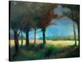 Stretched Canvas