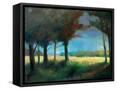 Canvas Black