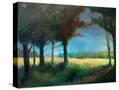 Stretched Canvas