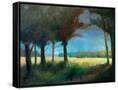 Canvas Black
