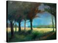Stretched Canvas