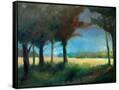 Canvas Black