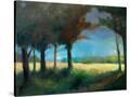 Stretched Canvas