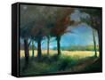 Canvas Black