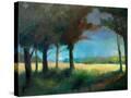 Stretched Canvas