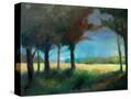 Stretched Canvas