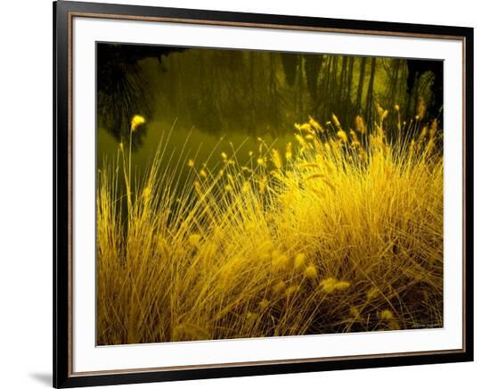 Framed Photographic Print, , large