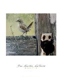 House Wren-Jan Martin McGuire-Mounted Art Print