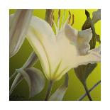 Ruffles & Trim-Jan McLaughlin-Art Print