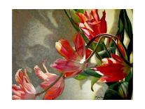 Tulips with Red-Jan McLaughlin-Art Print