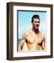 Jan-Michael Vincent, Airwolf-null-Framed Photo