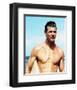 Jan-Michael Vincent, Airwolf-null-Framed Photo