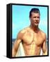 Jan-Michael Vincent-null-Framed Stretched Canvas