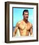 Jan-Michael Vincent-null-Framed Photo