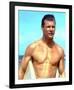 Jan-Michael Vincent-null-Framed Photo