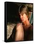 Jan-Michael Vincent-null-Framed Stretched Canvas