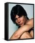 Jan-Michael Vincent-null-Framed Stretched Canvas