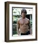 Jan-Michael Vincent-null-Framed Photo