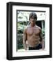 Jan-Michael Vincent-null-Framed Photo