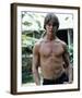 Jan-Michael Vincent-null-Framed Photo