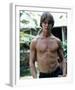 Jan-Michael Vincent-null-Framed Photo