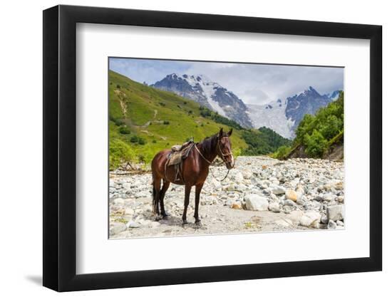 Premium Photographic Print, , large