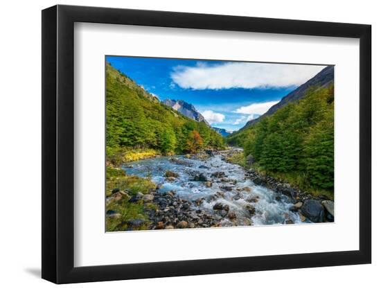 Premium Photographic Print, , large